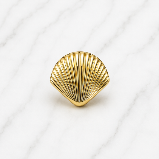 Anillo Concha