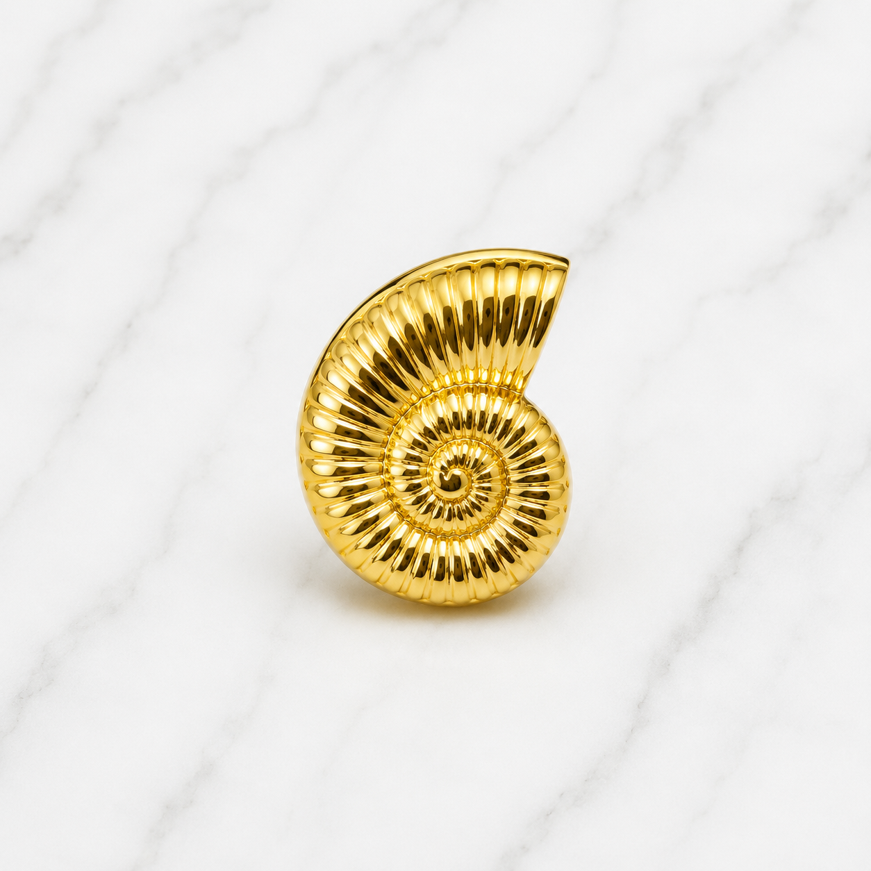 Anillo Caracol