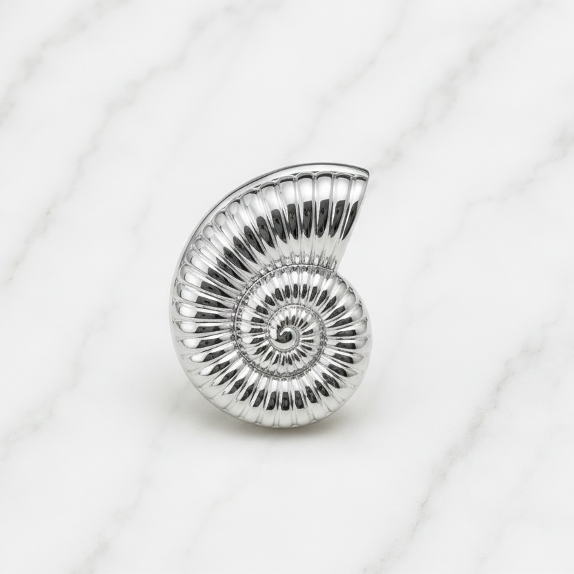Anillo Caracol